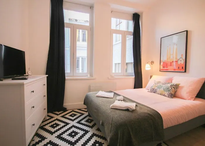 Lille Centre - Nice, Cozy And Functional Studio